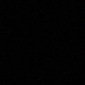 Meet your Posher, Donte